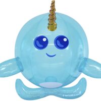Narwhal Beach Ball