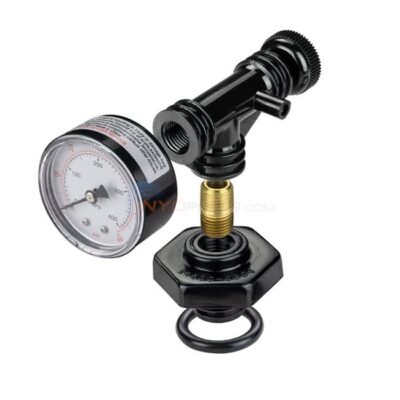 Valve and Gauge Assembly