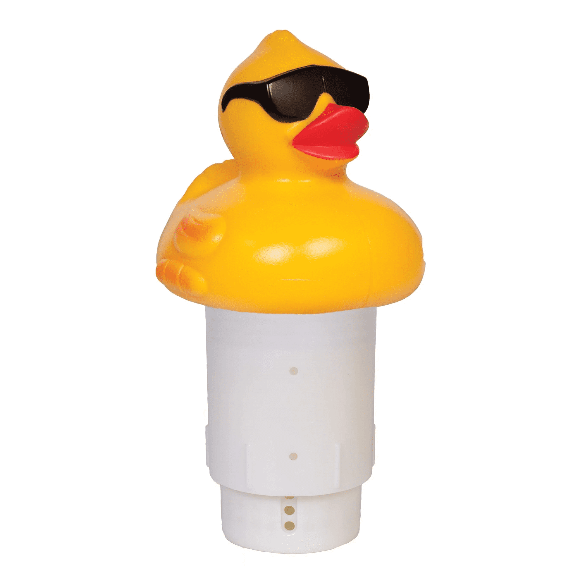 Duck Pool Chlorinator