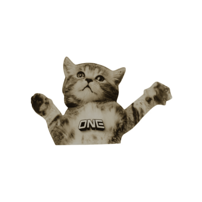 Traction- Flying Cat