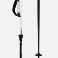 Paintbrush Pole W27